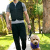Man walking dog in black weighted vest from Power Wearhouse