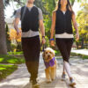 Voted Most Comfortable: Power Weighted Vest for Fitness, Osteoporosis & Sensory