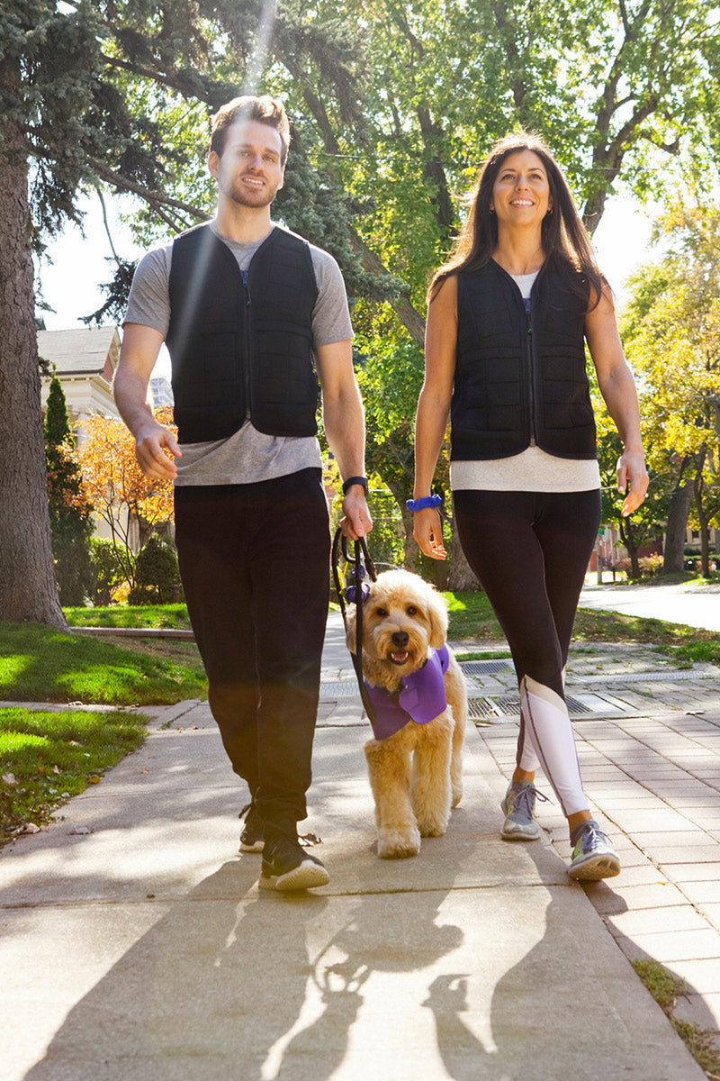 Sweater Vest / Belt Squat Vest | Buy 100% Best Quality Products